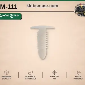 كلبس شجرة أبيض برأس عريض (مصري)