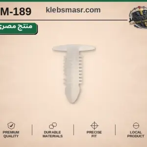 كلبس شجرة أبيض برأس عريض (مصري)
